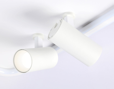 Накладные светильники — Накладной светильник Ambrella Light FL5114 купить в 