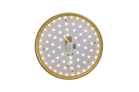 Накладные светильники — Накладной светильник Zortes ZRS.90610.50 купить в 