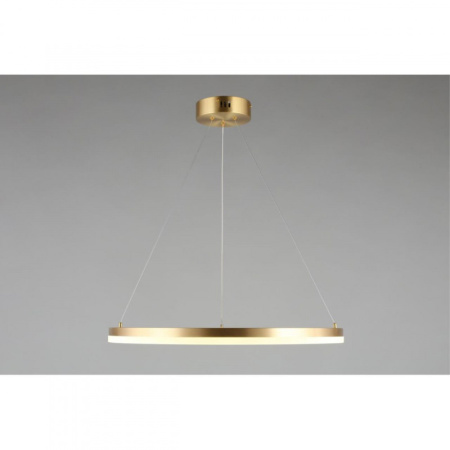 Подвесные светильники — Подвесной светильник APLOYT APL.049.13.40 купить в 