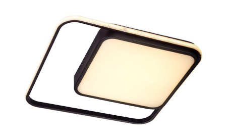 Потолочные светильники — Потолочный светодиодный светильник Escada 10210/2LED купить в  Потолочные светильники — Потолочный светодиодный светильник Escada 10210/2LED купить в