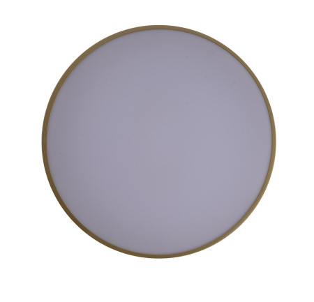 Накладные светильники — Накладной светильник Zortes ZRS.90610.40 купить в 