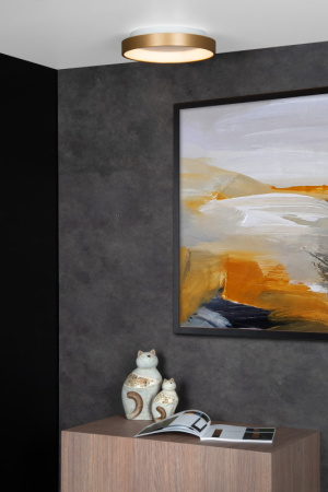 Накладные светильники — Накладной светильник LUCIDE 46103/20/02 купить в 