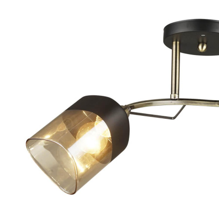 Потолочные люстры — Потолочная люстра Seven Fires Лайвес 66248.01.37.02 купить в 