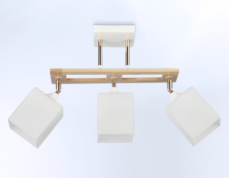 Накладные светильники — Накладной светильник Ambrella Light TR9505 купить в 