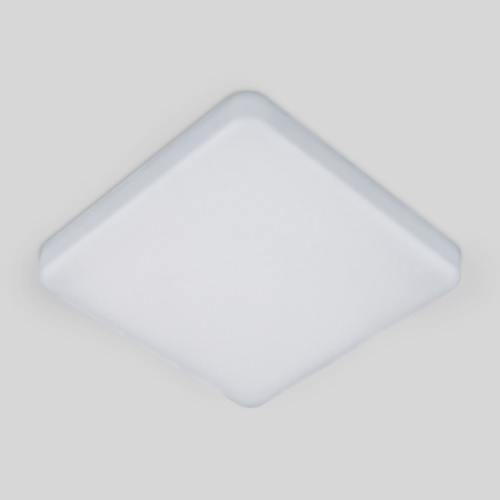 Накладные светильники — Накладной светильник Elektrostandard DLS043 10W 4200K купить в 