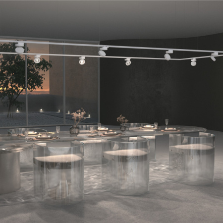 Трековые светильники — Светильник на шине Maytoni Technical TR006-1-12W3K-W4K купить в 