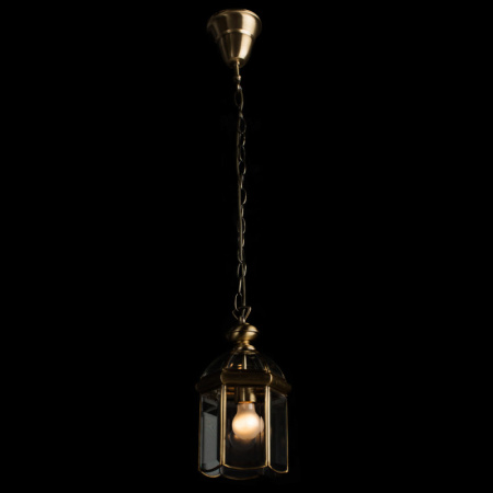 Подвесные светильники — Подвесной светильник ARTE Lamp A6501SP-1AB купить в  Подвесные светильники — Подвесной светильник ARTE Lamp A6501SP-1AB купить в