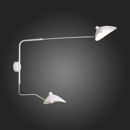 Настенные бра — Бра ST-Luce SL305.501.02 купить в  Настенные бра — Бра ST-Luce SL305.501.02 купить в