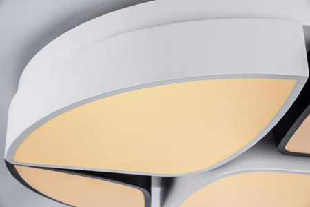 Потолочные светильники — Потолочный светодиодный светильник Escada 10211/4LED купить в  Потолочные светильники — Потолочный светодиодный светильник Escada 10211/4LED купить в