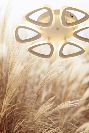 Люстры накладные — Накладная люстра DeMarkt 424013006 купить в 