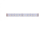 Светодиодные ленты — Лента DesignLed DSG5120-24-RGB+W-33 купить в 