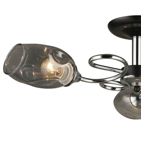 Потолочные люстры — Потолочная люстра Seven Fires Brolo 66432.01.13.03 купить в  Потолочные люстры — Потолочная люстра Seven Fires Brolo 66432.01.13.03 купить в