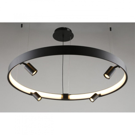 Люстры подвесные — Подвесная люстра APLOYT APL.041.13.50 купить в 