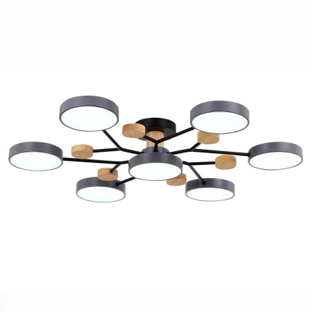 Люстры на штанге — Люстра на штанге Evoluce SLE6006-702-07 купить в 