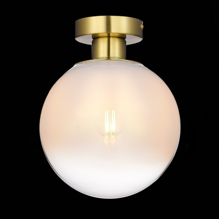 Накладные светильники — Накладной светильник ST-Luce SL1190.202.01 купить в 