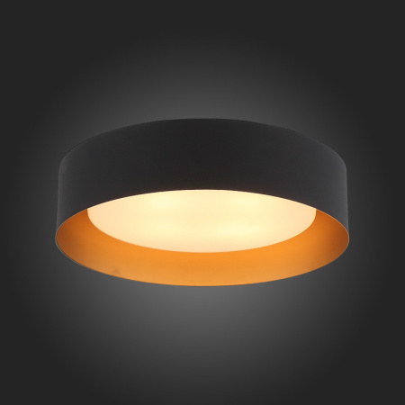 Накладные светильники — Накладной светильник ST-Luce SL392.422.04 купить в 