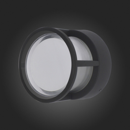 Уличные настенные светильники — Светильник настенный ST-Luce SL9504.411.01 купить в 