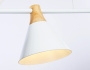 Подвесные светильники — Подвесной светильник Ambrella Light TR8196 купить в 