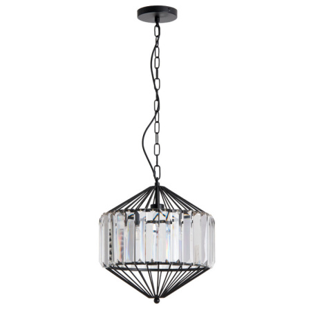 Подвесные светильники — Подвесной светильник ARTE Lamp A1790SP-1BK купить в  Подвесные светильники — Подвесной светильник ARTE Lamp A1790SP-1BK купить в