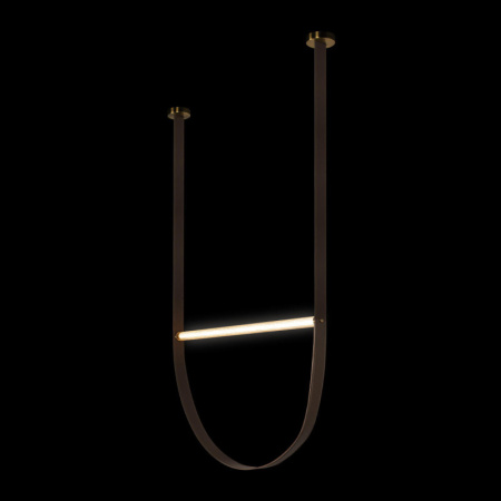 Подвесные светильники — Подвесной светильник LOFT IT 10221/2050 купить в 