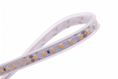 Светодиодные ленты — Лента DesignLed DSG3120-24-W-65 купить в 