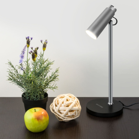 Настольные лампы — Настольная лампа Elektrostandard Joel серебро/хром (TL70190) купить в 