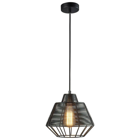 Подвесные светильники — Подвесной светильник Zumaline Wire MD1712-1B-BLACK купить в  Подвесные светильники — Подвесной светильник Zumaline Wire MD1712-1B-BLACK купить в