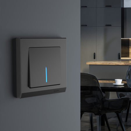 Выключатели — Выключатель Werkel W1110108 купить в 