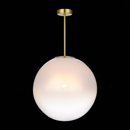 Подвесные светильники — Подвесной светильник ST-Luce SL1190.222.01 купить в 