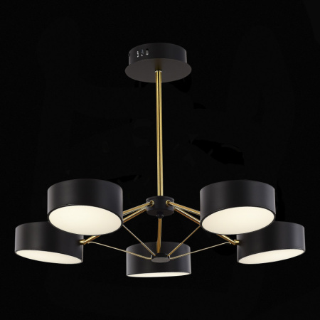 Люстры на штанге — Люстра на штанге Evoluce SLE6005-402-05 купить в  Люстры на штанге — Люстра на штанге Evoluce SLE6005-402-05 купить в