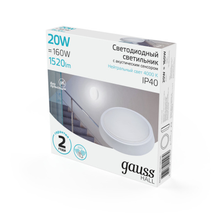 Офисные светильники — Офисный светильник Gauss 193411220-OAS купить в 