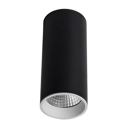 Накладные точечные светильники — Накладной светильник LeDron SLC7392/12W-BW купить в  Накладные точечные светильники — Накладной светильник LeDron SLC7392/12W-BW купить в