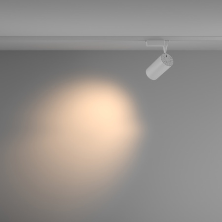 Трековые светильники — Светильник на шине Maytoni Technical TR003-1-36W3K-M-W купить в 