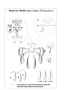 Люстры на штанге — Люстра на штанге Lightstar 794094 купить в  Люстры на штанге — Люстра на штанге Lightstar 794094 купить в