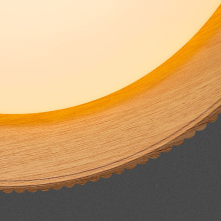 Накладные светильники — Накладной светильник ImperiumLoft 223979-23 купить в 