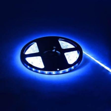 Светодиодные ленты — Светодиодная лента Horoz 4,8W/m 60LED/m 3528SMD синий 081-002-0001 HRZ00001185 купить в  Светодиодные ленты — Светодиодная лента Horoz 4,8W/m 60LED/m 3528SMD синий 081-002-0001 HRZ00001185 купить в