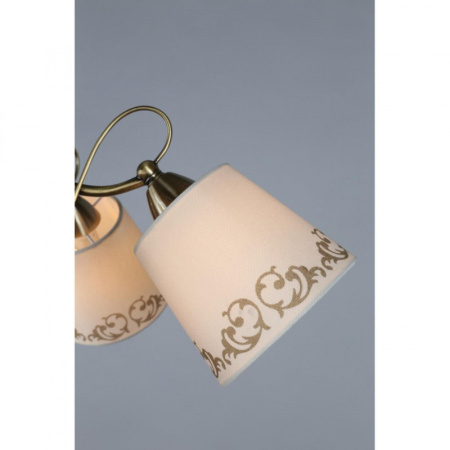 Люстры накладные — Накладная люстра Omnilux OML-55107-05 купить в 