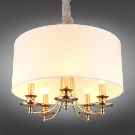 Люстры подвесные — Подвесная люстра APLOYT APL.721.06.05 купить в 