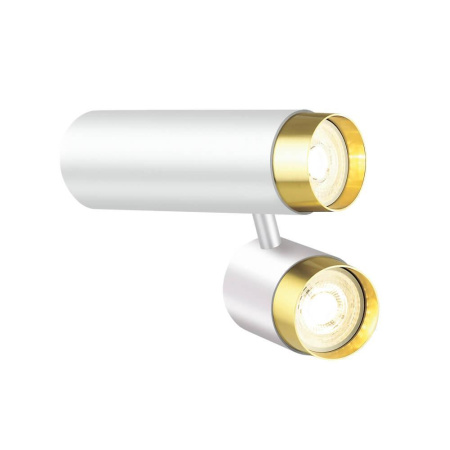 Споты — Спот Lumien Hall Саурис LH8020/2C-WT-GD купить в 