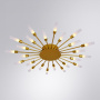 Люстры накладные — Накладная люстра ARTE Lamp A1276PL-24GO купить в  Люстры накладные — Накладная люстра ARTE Lamp A1276PL-24GO купить в