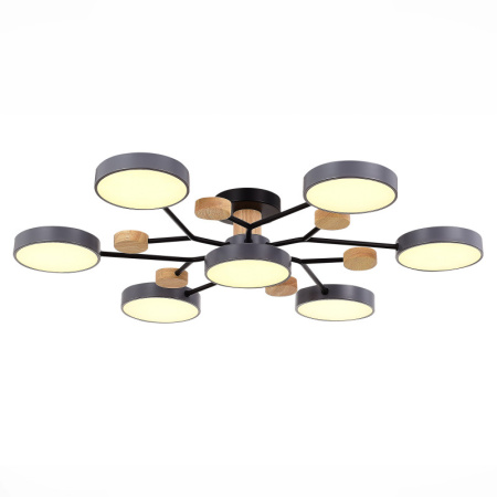 Люстры на штанге — Люстра на штанге Evoluce SLE6006-702-07 купить в 