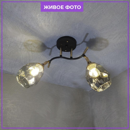Потолочные люстры — Потолочная люстра Seven Fires Koul SF3329/2C-CF-FGD-SMK купить в  Потолочные люстры — Потолочная люстра Seven Fires Koul SF3329/2C-CF-FGD-SMK купить в