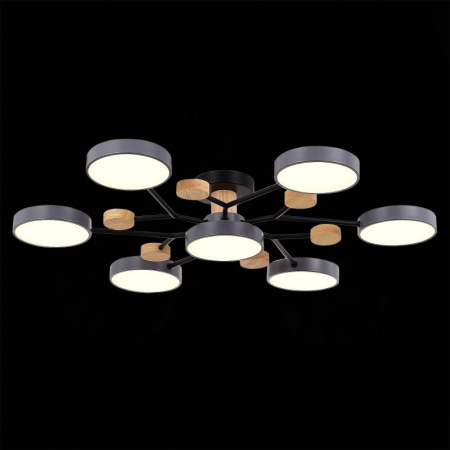 Люстры на штанге — Люстра на штанге Evoluce SLE6006-702-07 купить в 