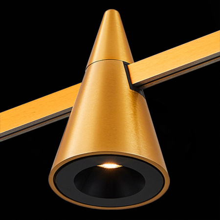 Трековые светильники — Светильник на шине ST-Luce ST813.206.05 купить в 