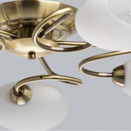 Люстры накладные — Накладная люстра MW-Light 267011805 купить в  Люстры накладные — Накладная люстра MW-Light 267011805 купить в