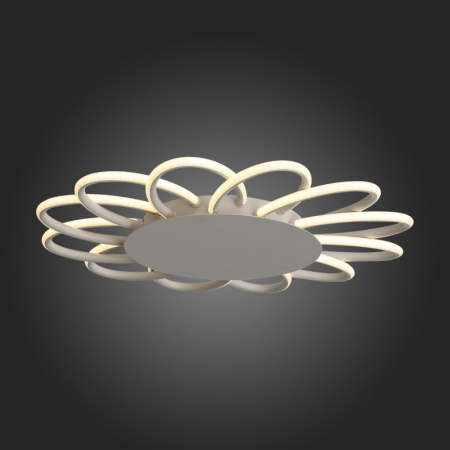 Накладные светильники — Накладной светильник ST-Luce SL828.512.12 купить в 