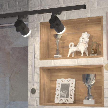 Трековые светильники — Светильник на шине Elektrostandard Accord Черный 20W 4200K (LTB36) однофазный купить в 