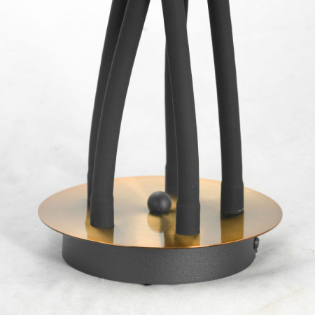 Люстры накладные — Накладная люстра Lussole GRLSP-8342 купить в  Люстры накладные — Накладная люстра Lussole GRLSP-8342 купить в