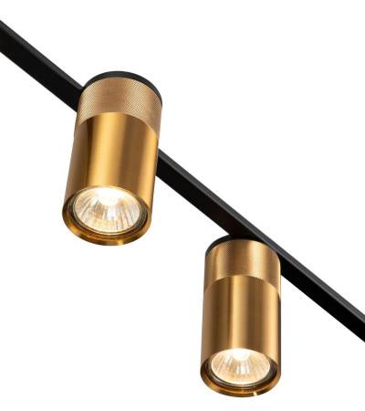 Люстры подвесные — Подвесная люстра Indigo Liberta 11014/4P Gold V000148 купить в  Люстры подвесные — Подвесная люстра Indigo Liberta 11014/4P Gold V000148 купить в