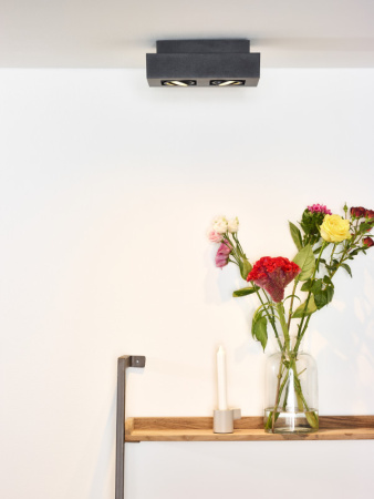 Накладные светильники — Накладной светильник LUCIDE 09119/11/30 купить в 